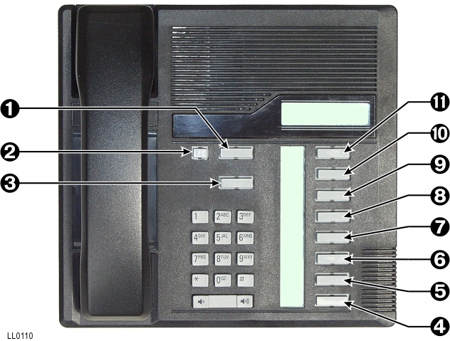 ll0110.jpg