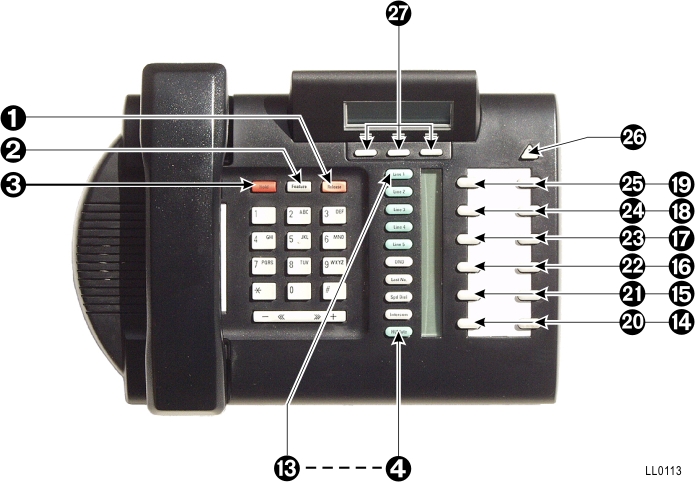 ll0113.jpg