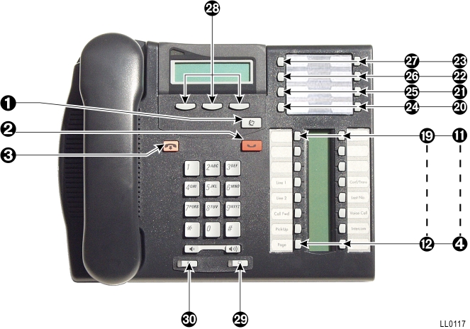 ll0117.jpg