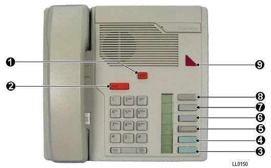 ll0150.jpg