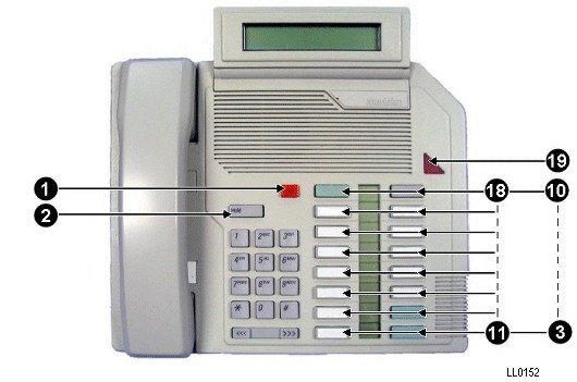 ll0152.jpg