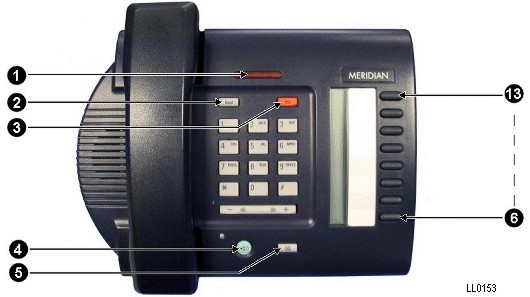 ll0153.jpg