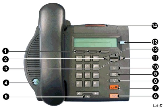 ll0157.jpg